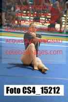 CS4_15212-