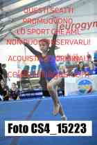 CS4_15223-