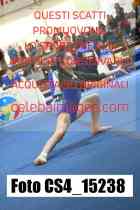 CS4_15238-