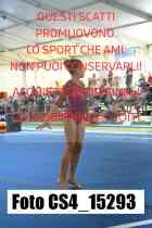 CS4_15293-