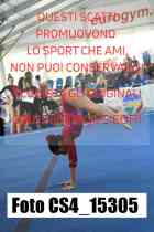 CS4_15305-