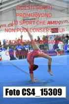 CS4_15309-