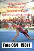 CS4_15311-