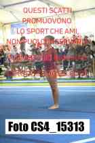 CS4_15313-