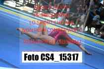 CS4_15317-