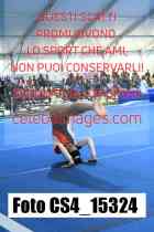 CS4_15324-