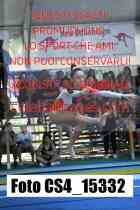 CS4_15332-