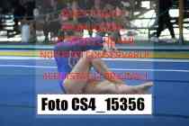 CS4_15356-