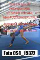 CS4_15372-