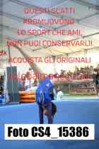 CS4_15386-