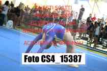CS4_15387-