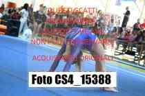 CS4_15388-