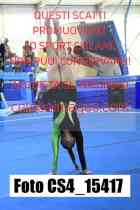 CS4_15417-