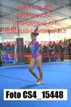 CS4_15448-