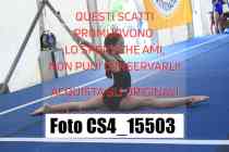 CS4_15503-