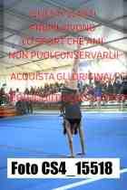 CS4_15518-