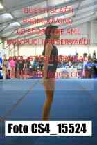 CS4_15524-