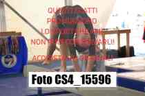 CS4_15596-