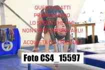 CS4_15597-