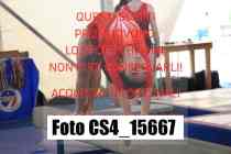 CS4_15667-