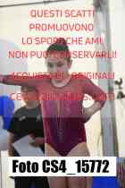 CS4_15772-