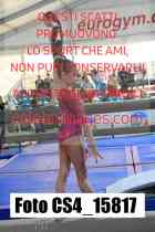 CS4_15817-