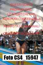 CS4_15947-
