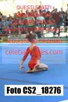 CS2_18276-