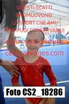 CS2_18286-