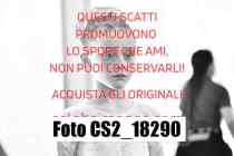CS2_18290-