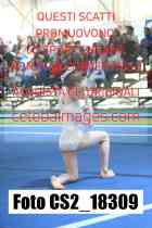 CS2_18309-