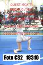 CS2_18310-