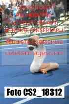CS2_18312-