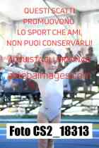 CS2_18313-