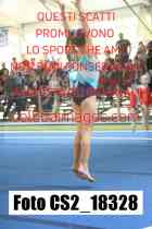 CS2_18328-