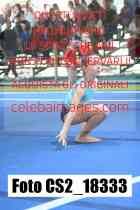 CS2_18333-