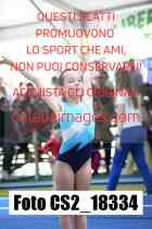 CS2_18334-