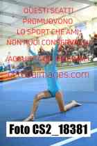 CS2_18381-