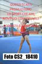 CS2_18410-