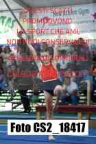 CS2_18417-