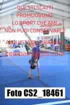 CS2_18461-