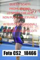 CS2_18466-