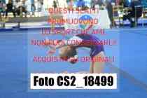 CS2_18499-