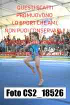CS2_18526-