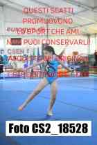 CS2_18528-