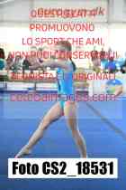 CS2_18531-