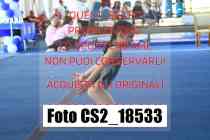 CS2_18533-
