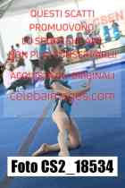 CS2_18534-