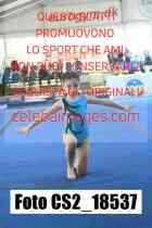 CS2_18537-