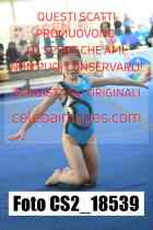 CS2_18539-